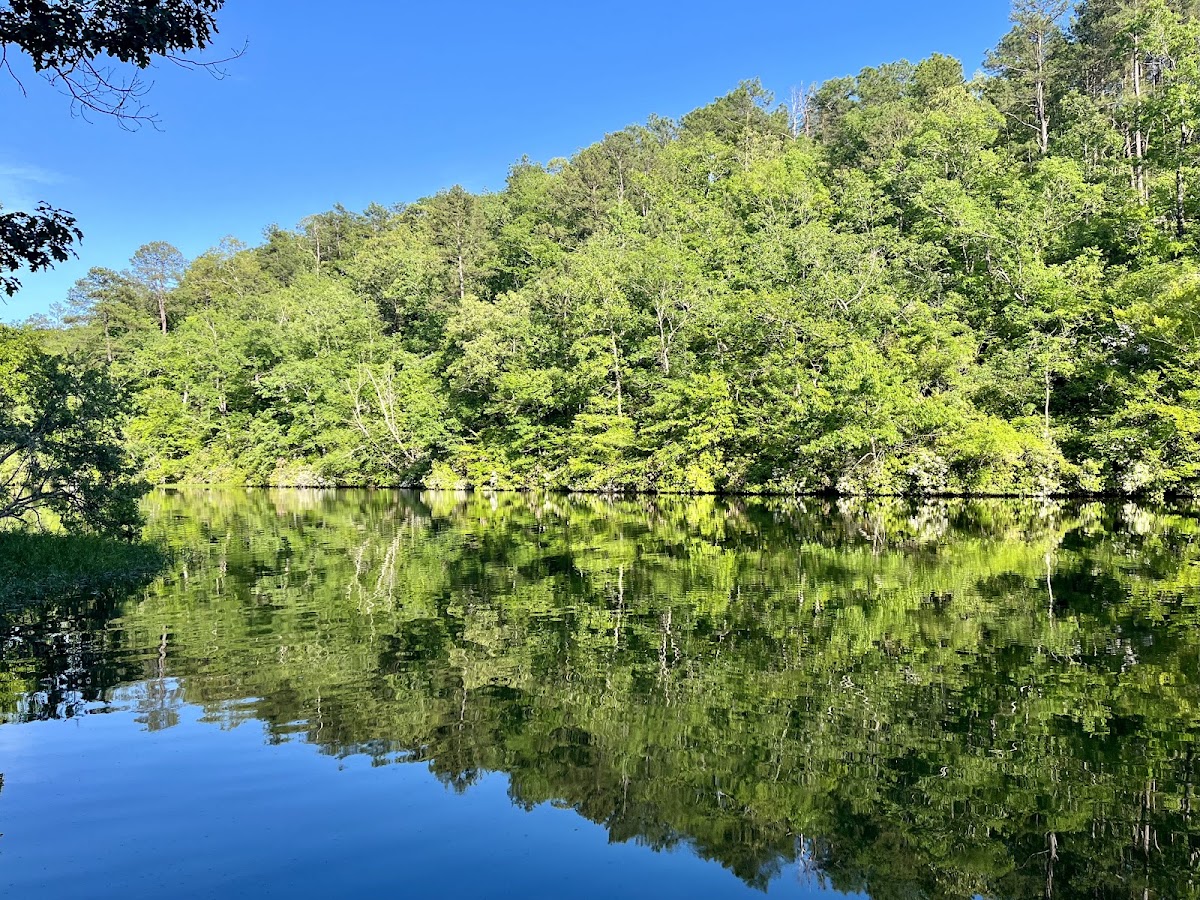 Mitchell Lake