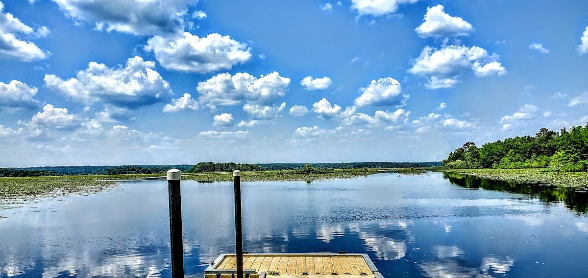 Lake Iamonia