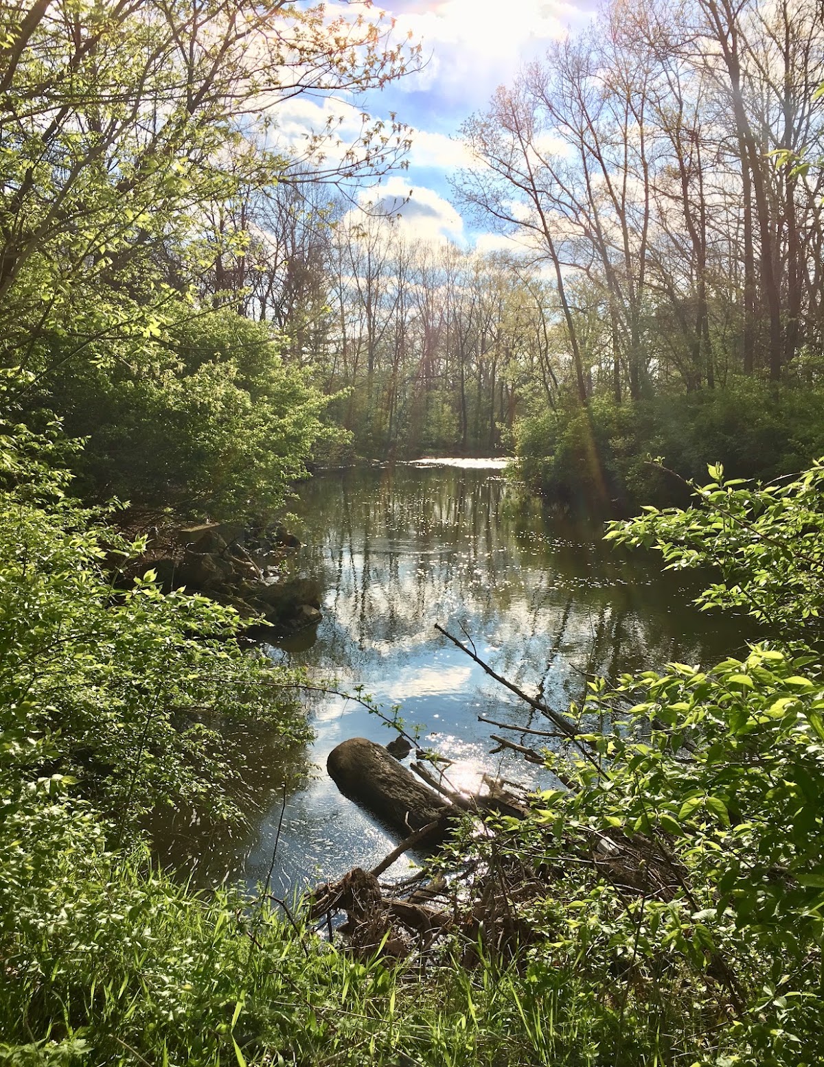 Blacklick Creek