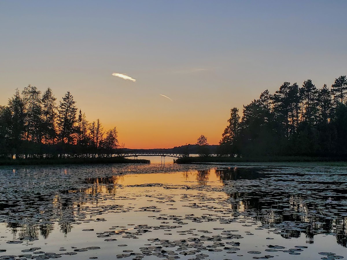Pickerel Lake