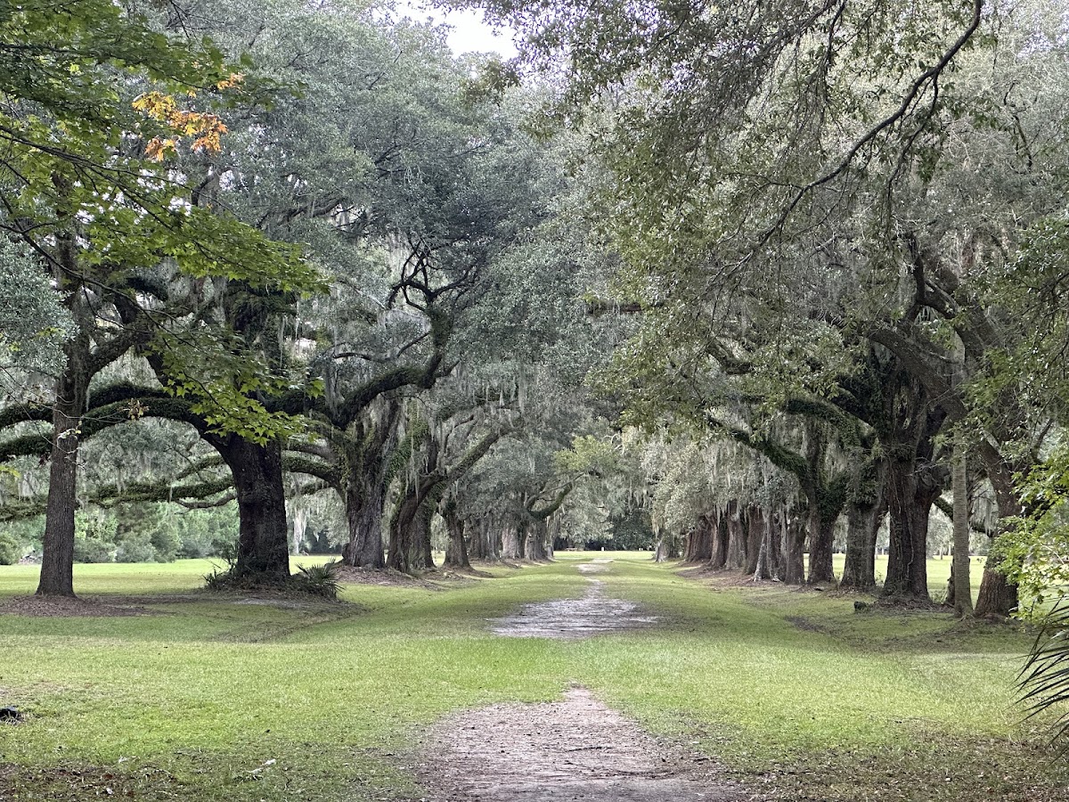 Laurel Hill County Park