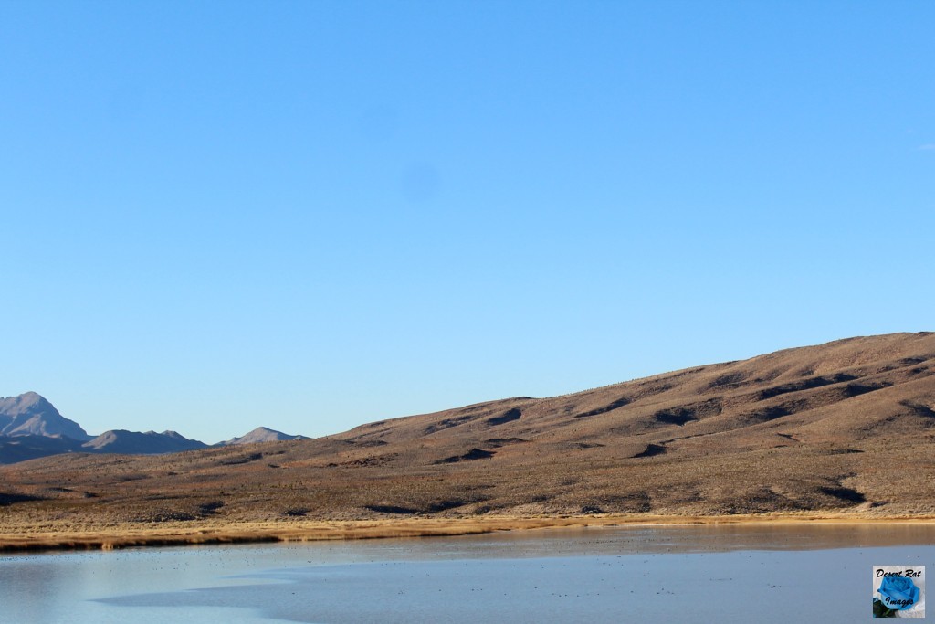 Lower Pahranagat Lake