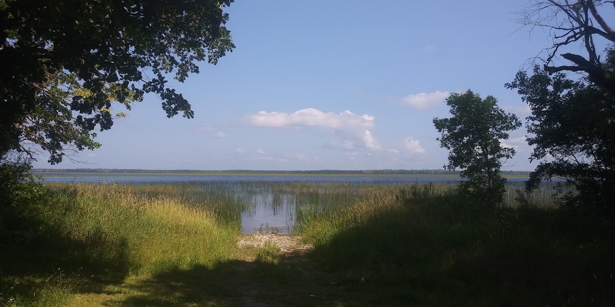 Nett Lake