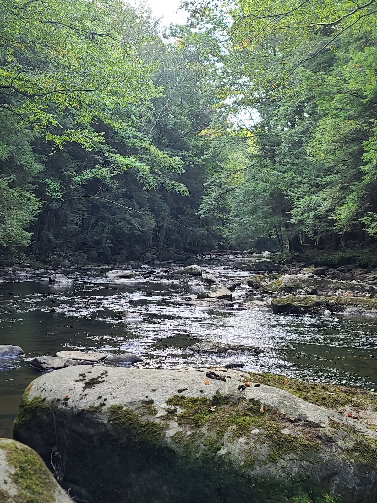 Laurel Hill Creek