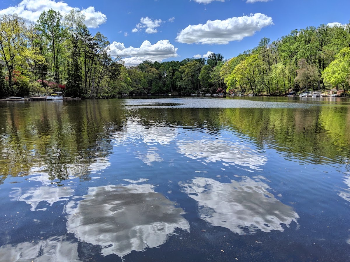 Lake Barcroft