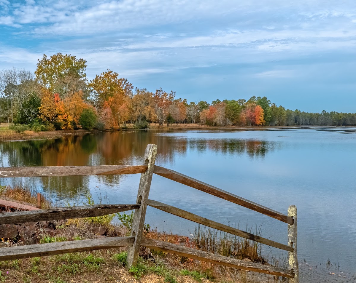 Batsto Lake