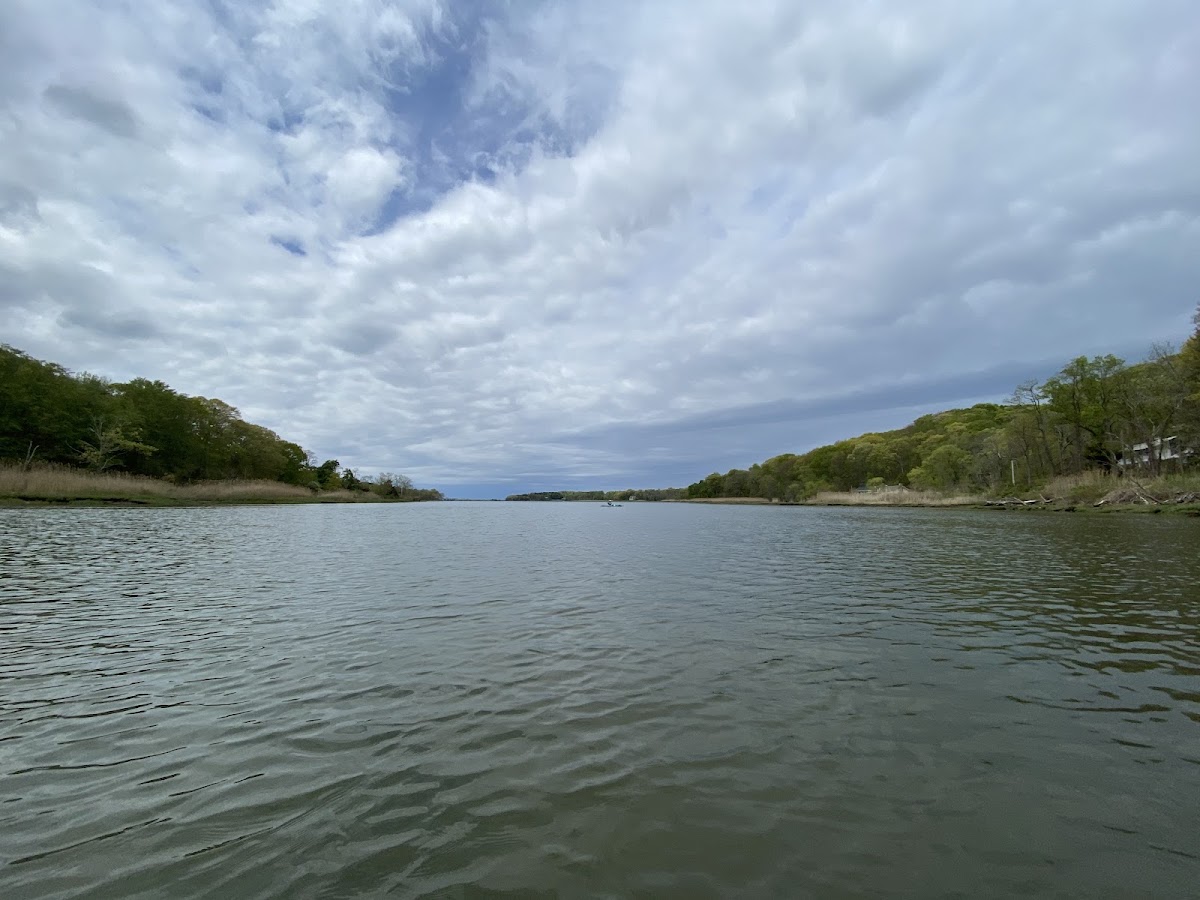 Nissequogue River