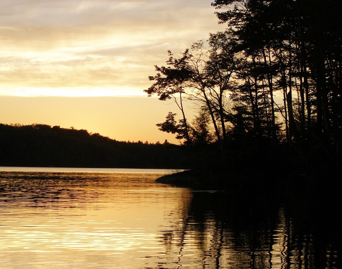 Soft Maple Reservoir