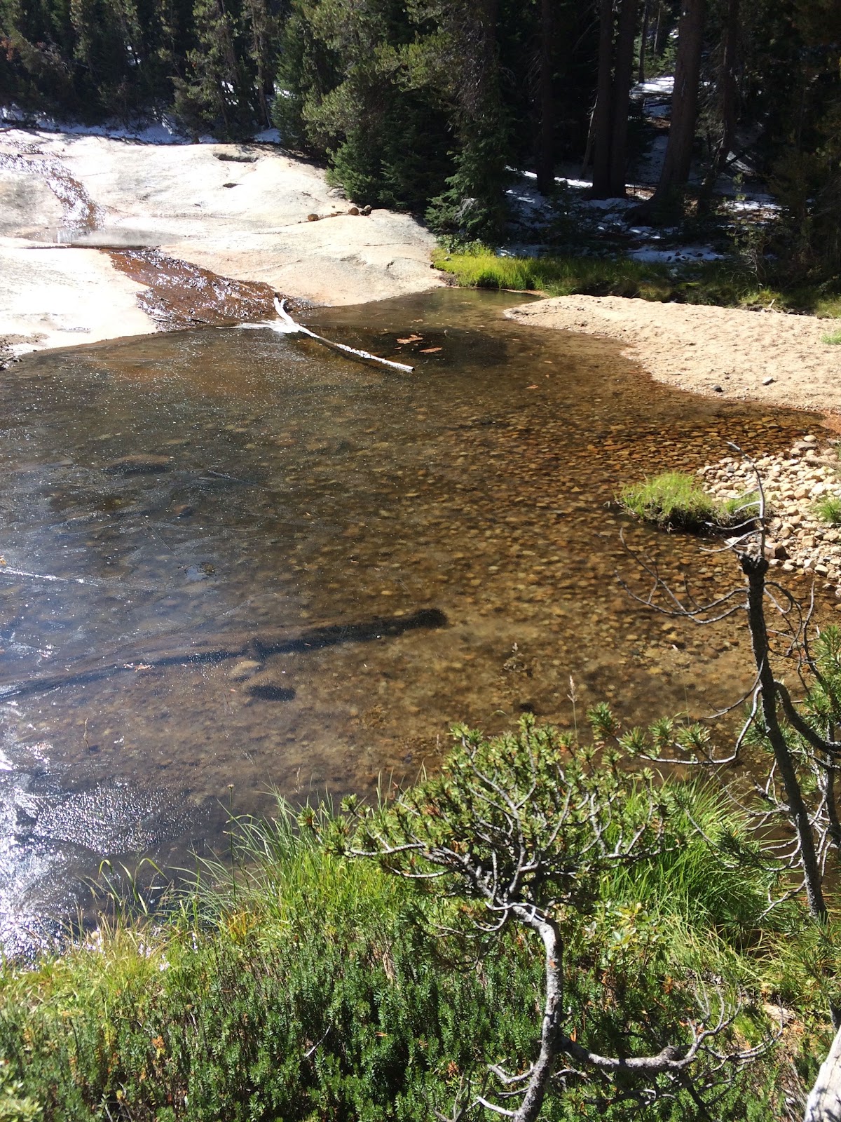 Cathedral Creek