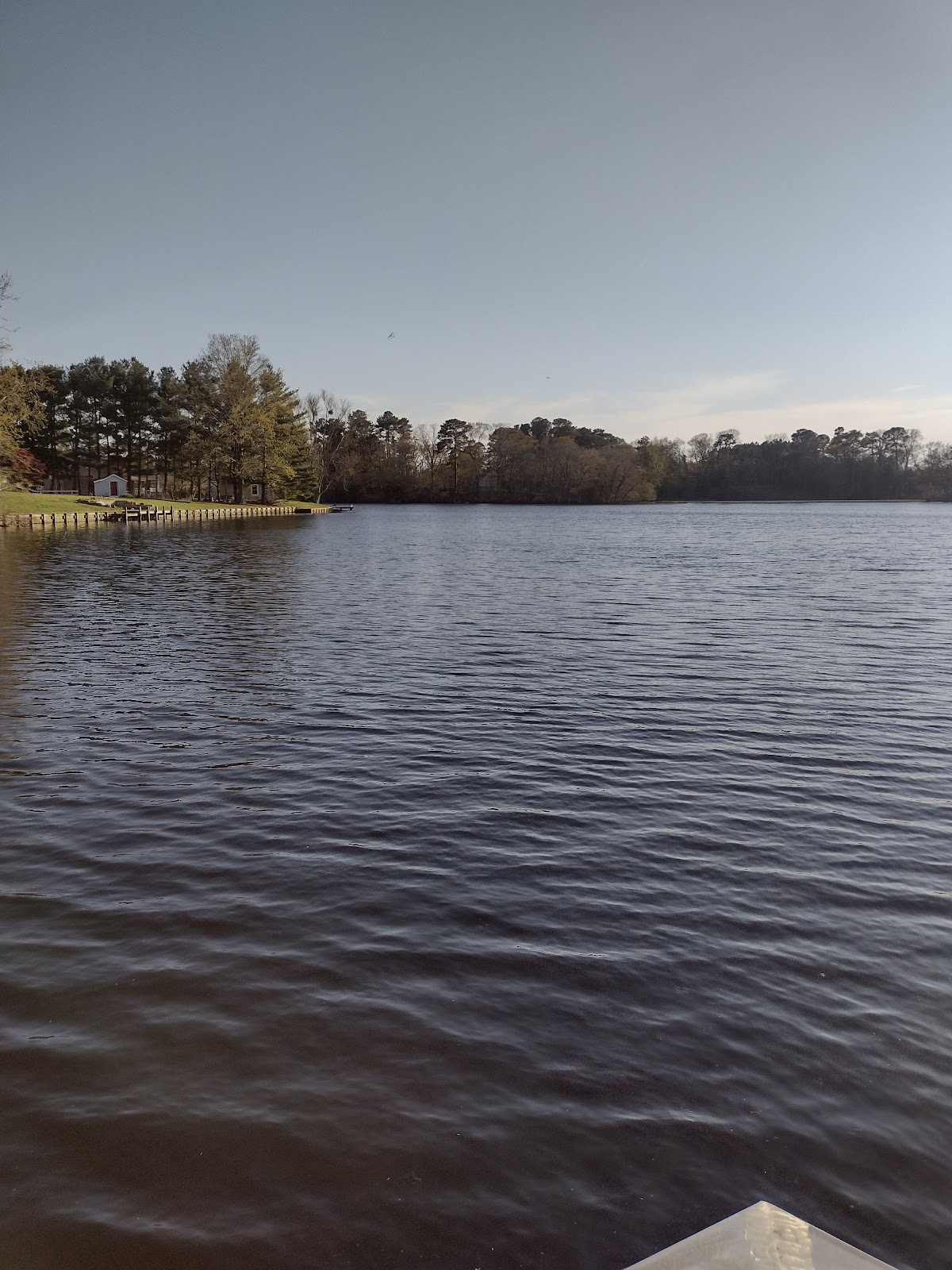 Millsboro Pond