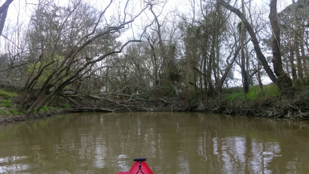 Bayou Blanc