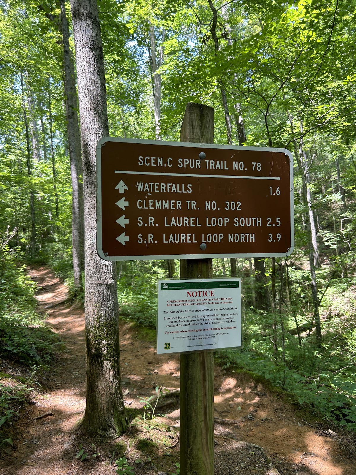 Clemmer Trail No 302