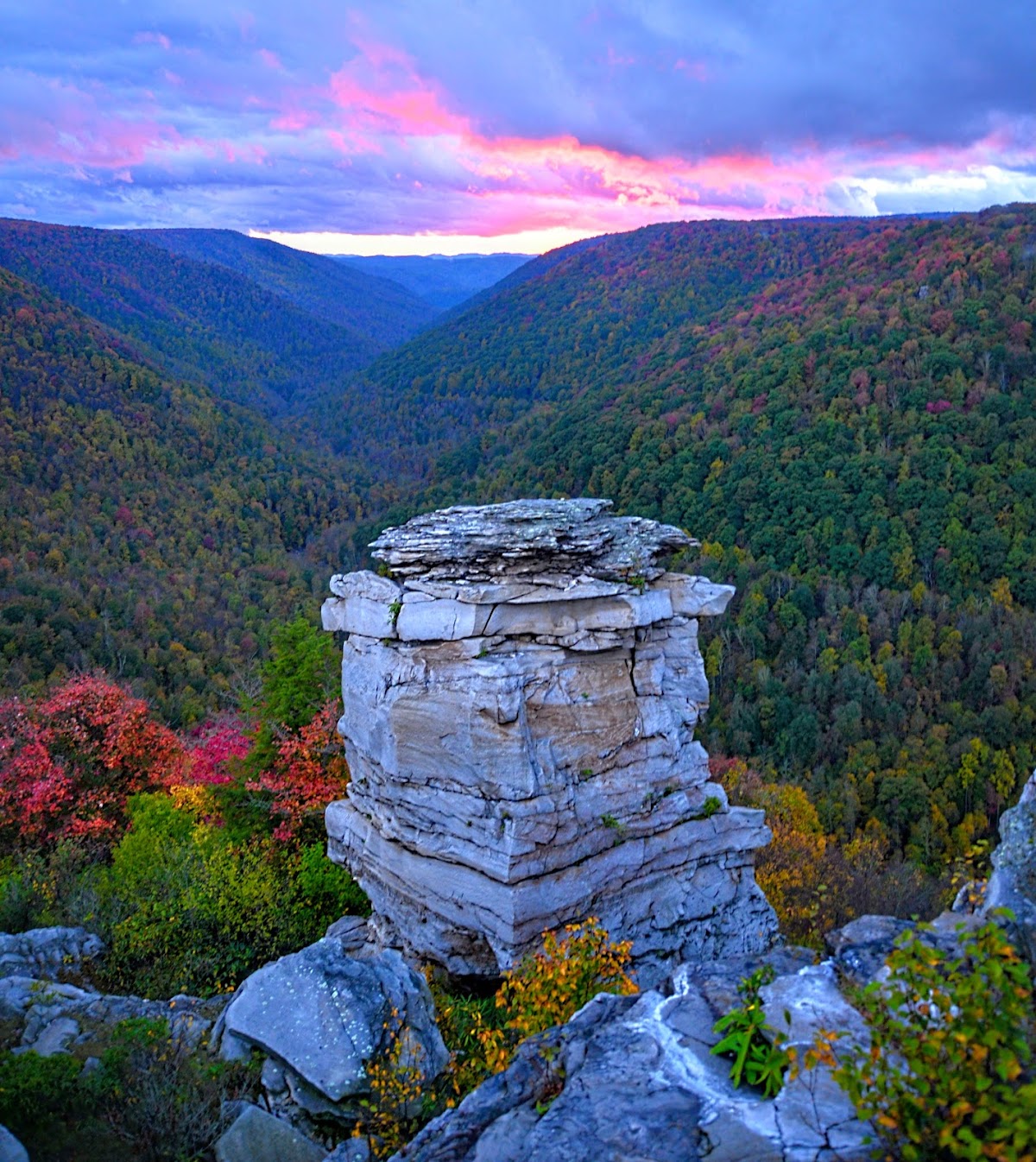 Lindy Run Trail