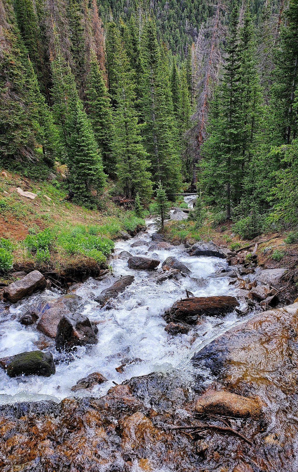 Alpine Brook