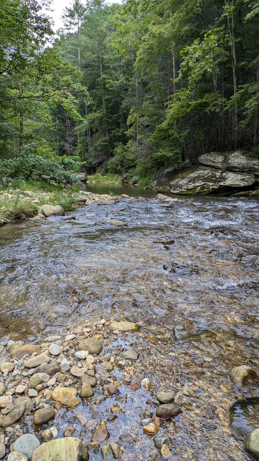 Elk Creek