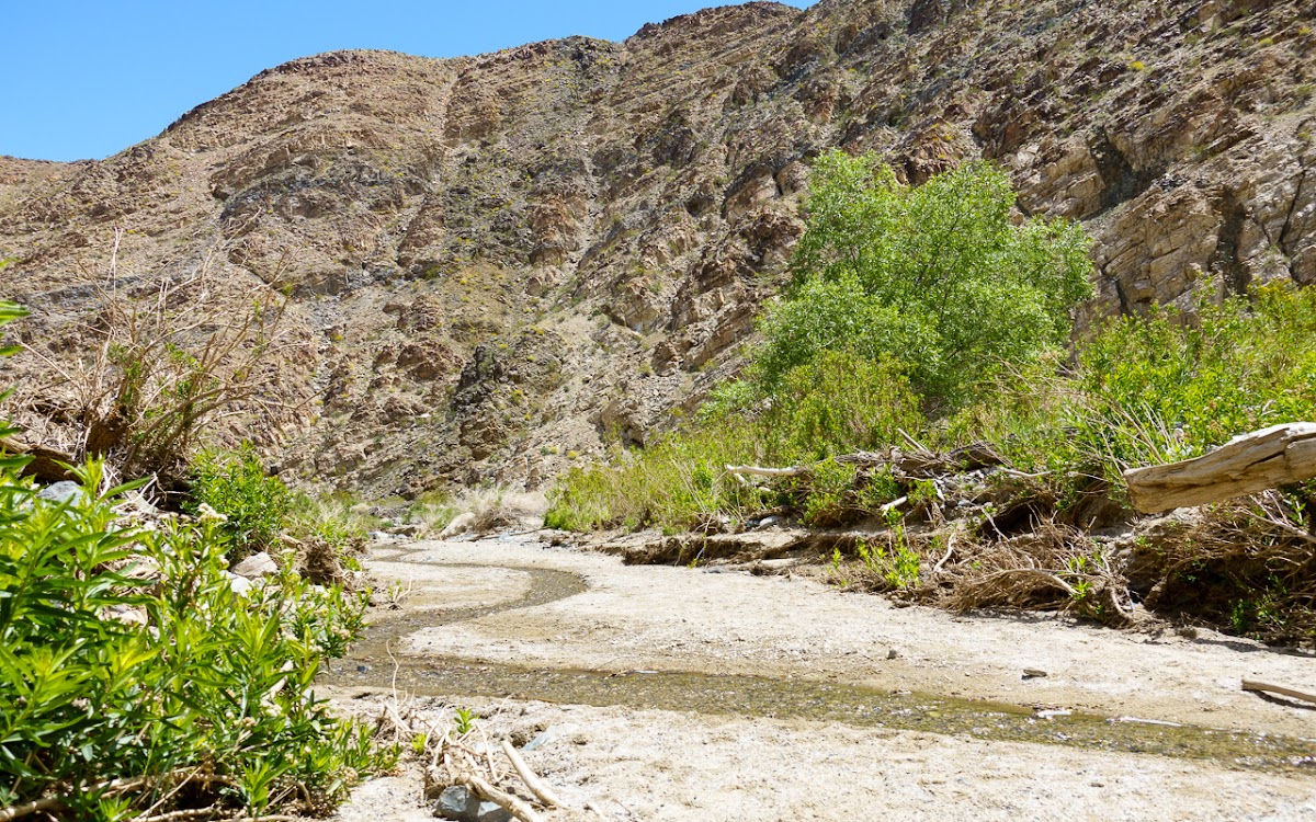 Darwin Falls Trail