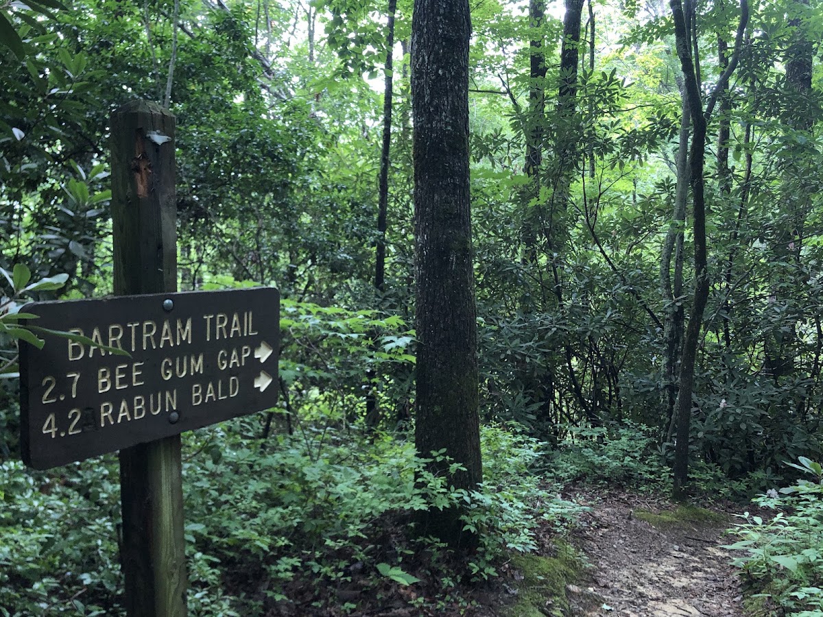 Bartram Trail