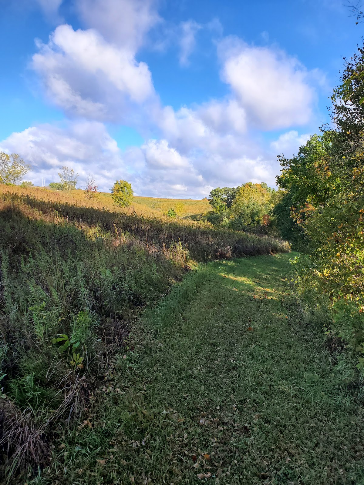 Pine Valley Nature Area