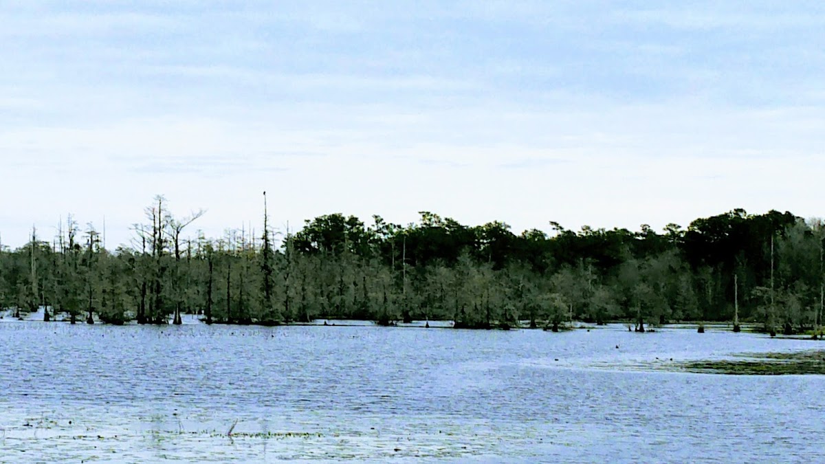 Bates Pond