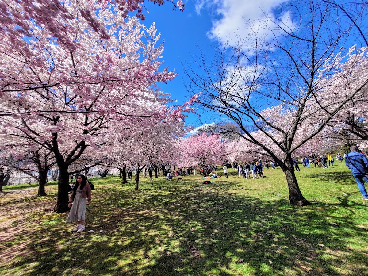 Branch Brook Park