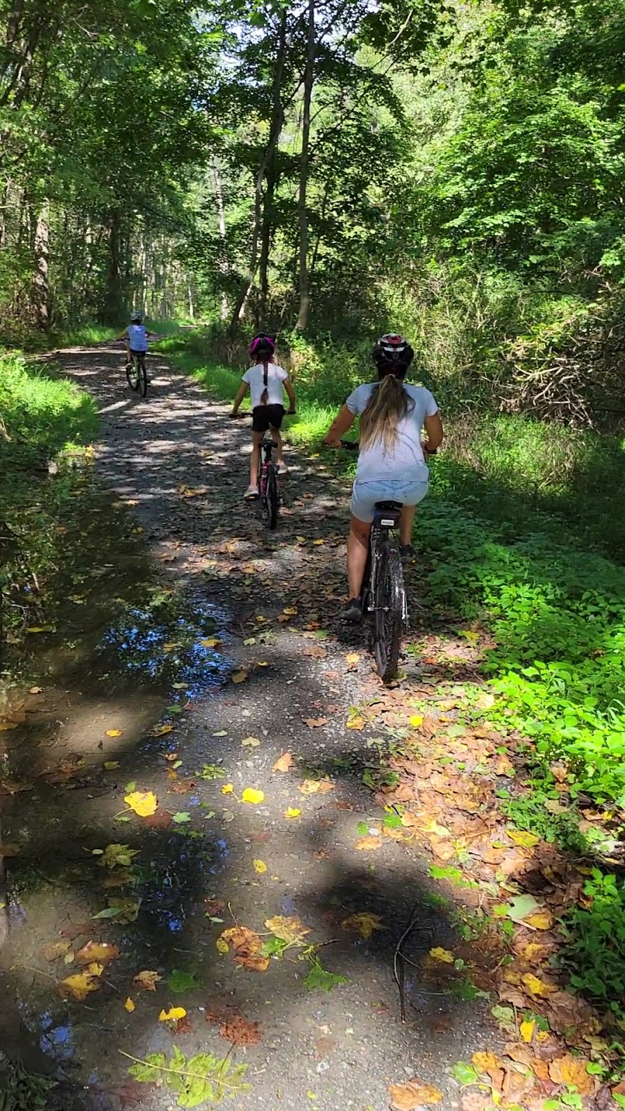 Mcdade Trail White Pines Trailhead Parking