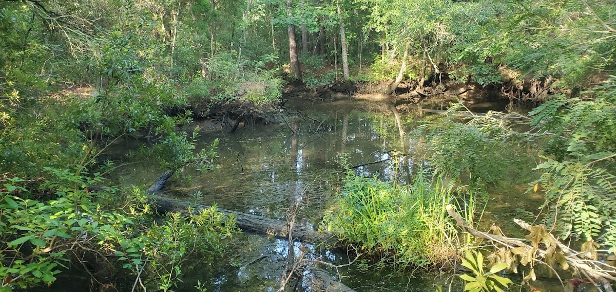 Lower Reserve