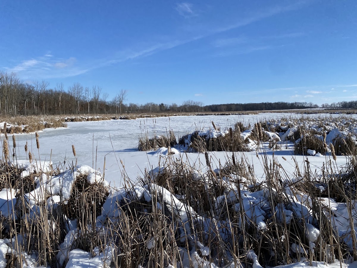 Mud Lake