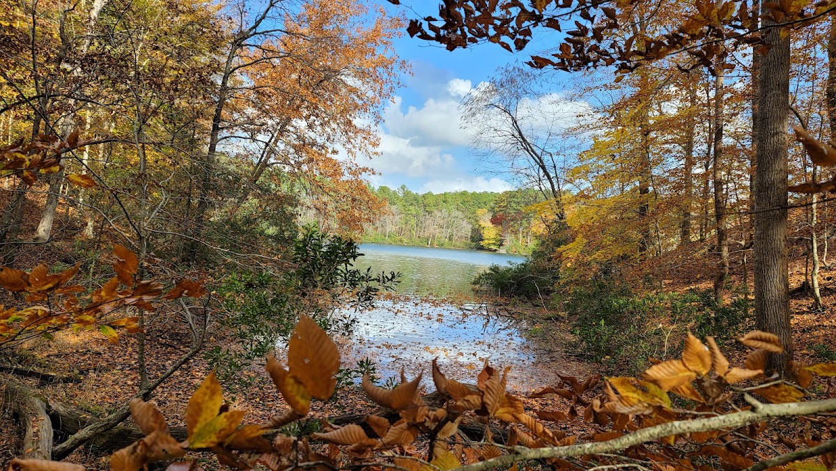 Waller Mill Reservoir