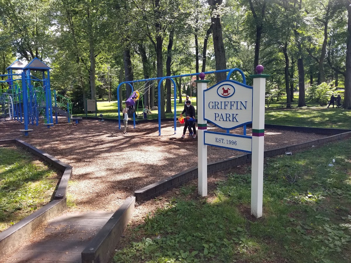 Roosevelt Common