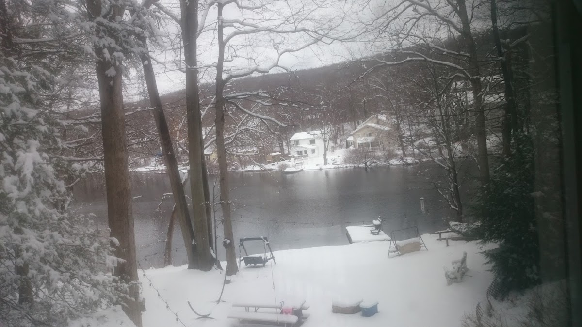 Longwood Lake