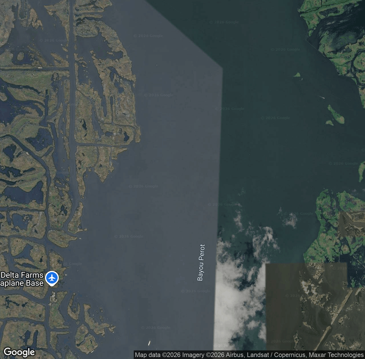 Bayou Perot
