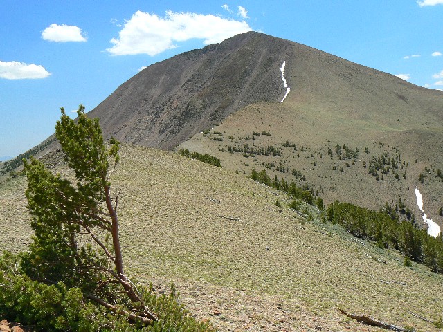 Arc Dome Trail