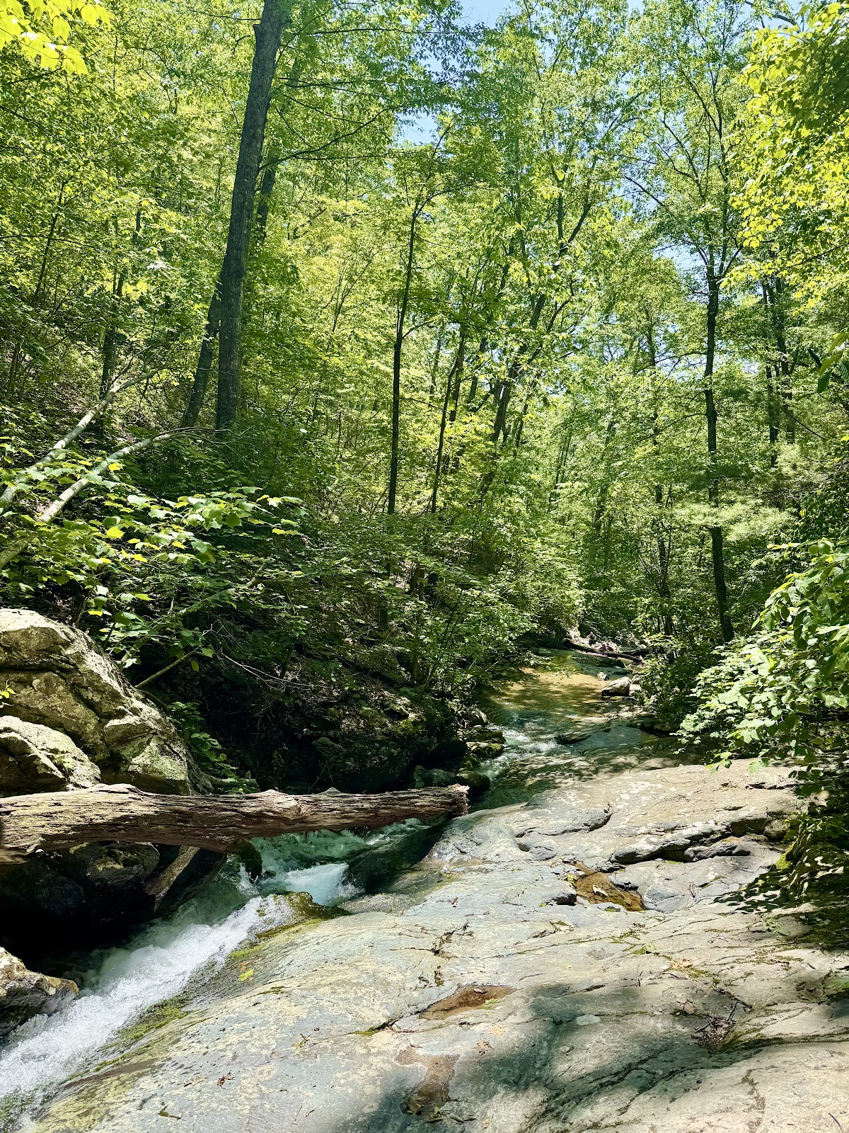 White Rock Falls Trail