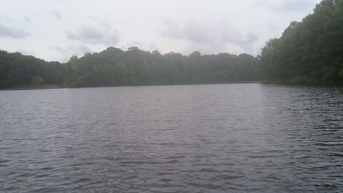 Lake Twitty