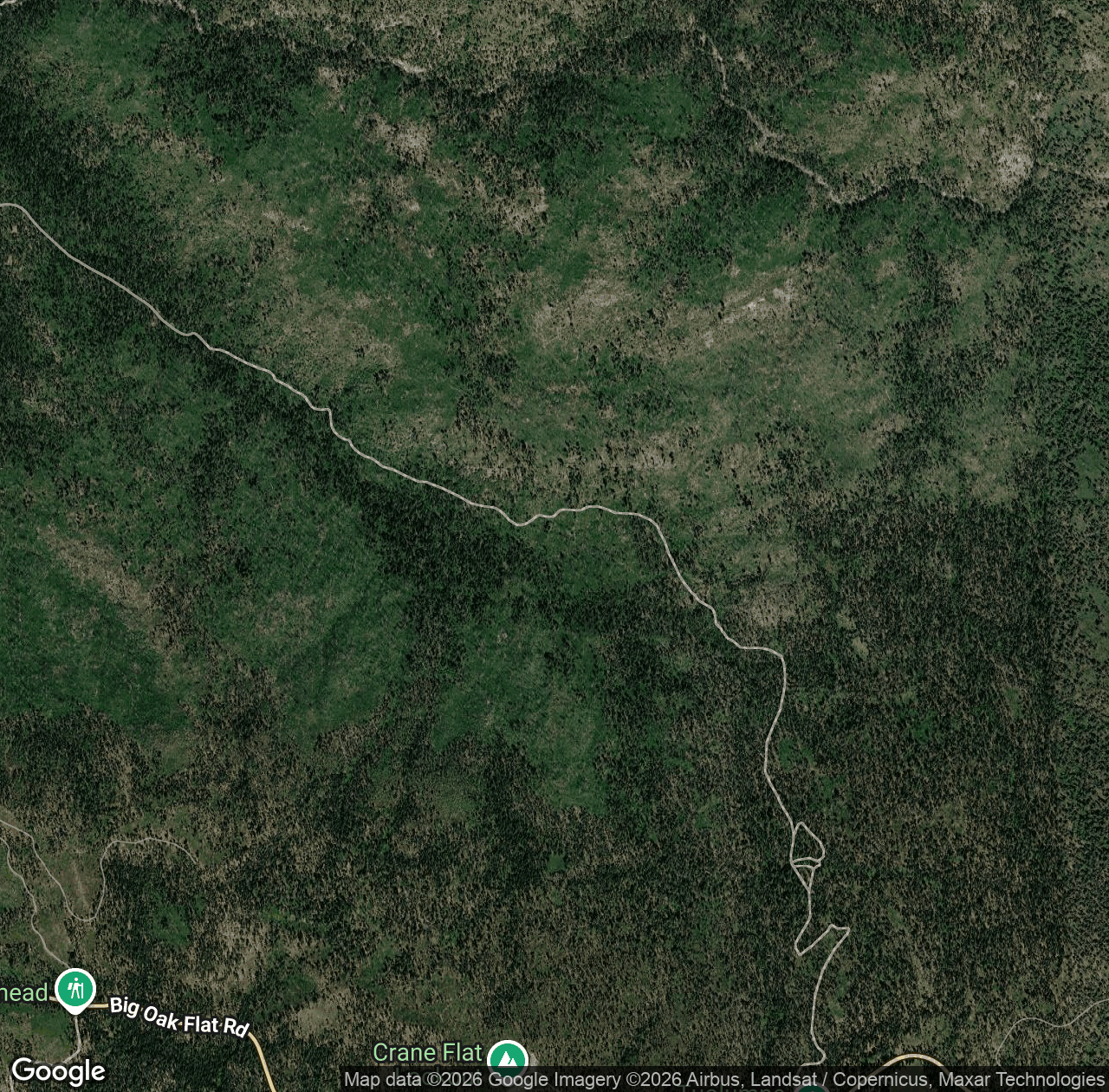 Tuolumne Grove Road
