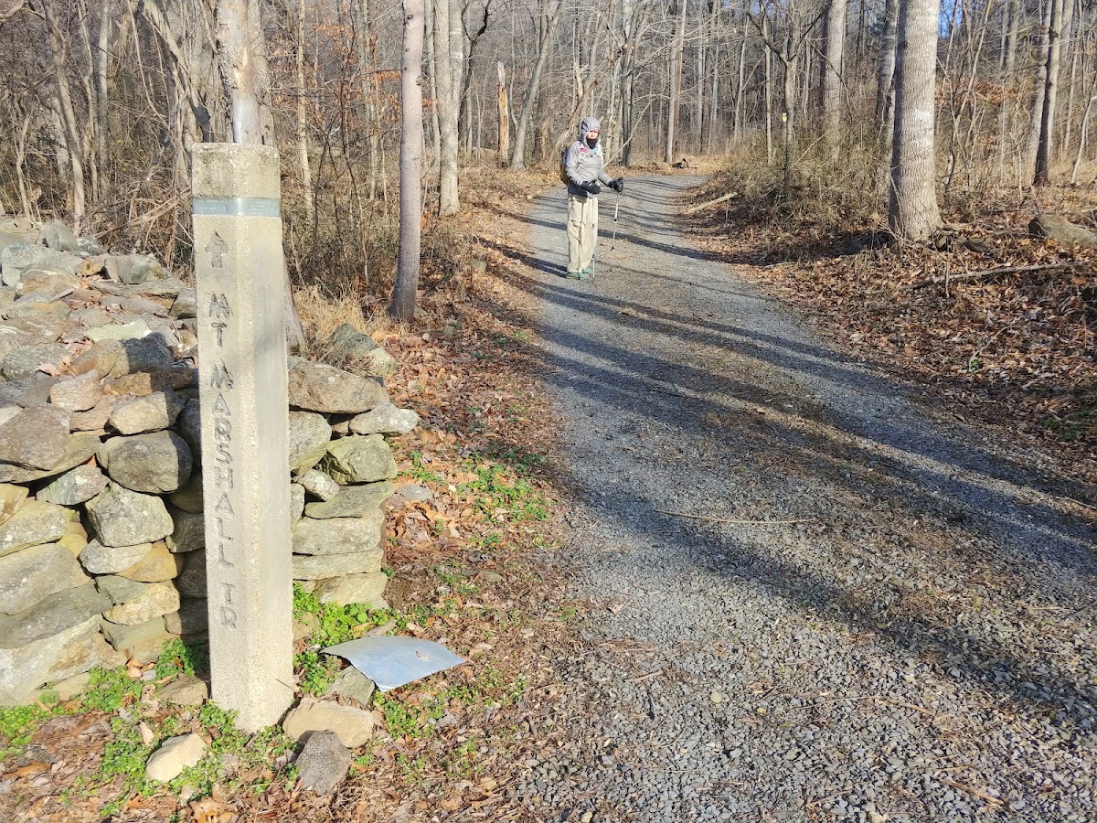 Mount Marshall Road