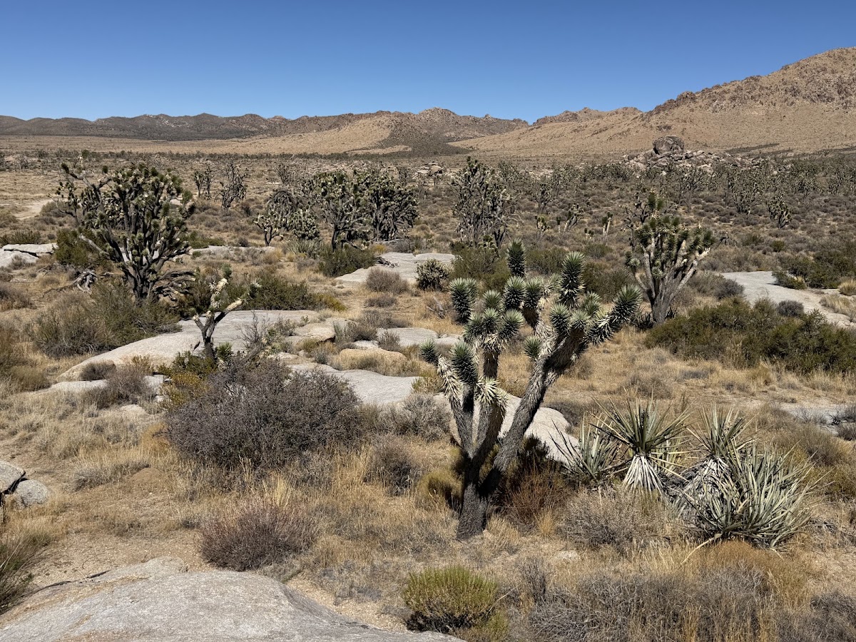 Teutonia Peak Trail