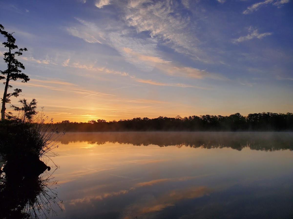 Pasquotank River
