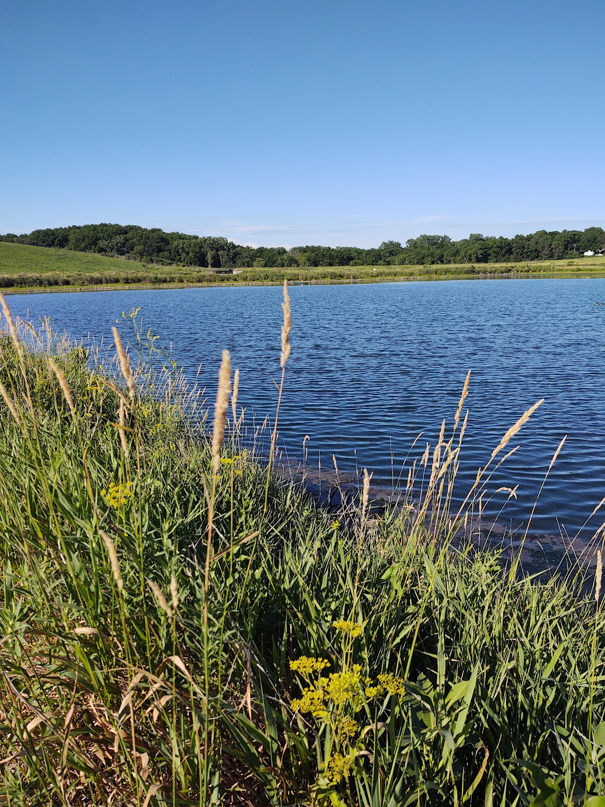 Bays Branch Lake