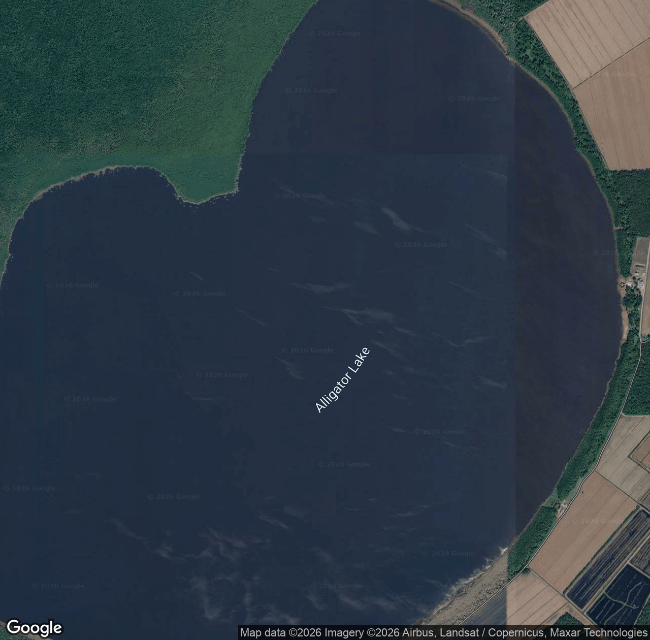 New Lake