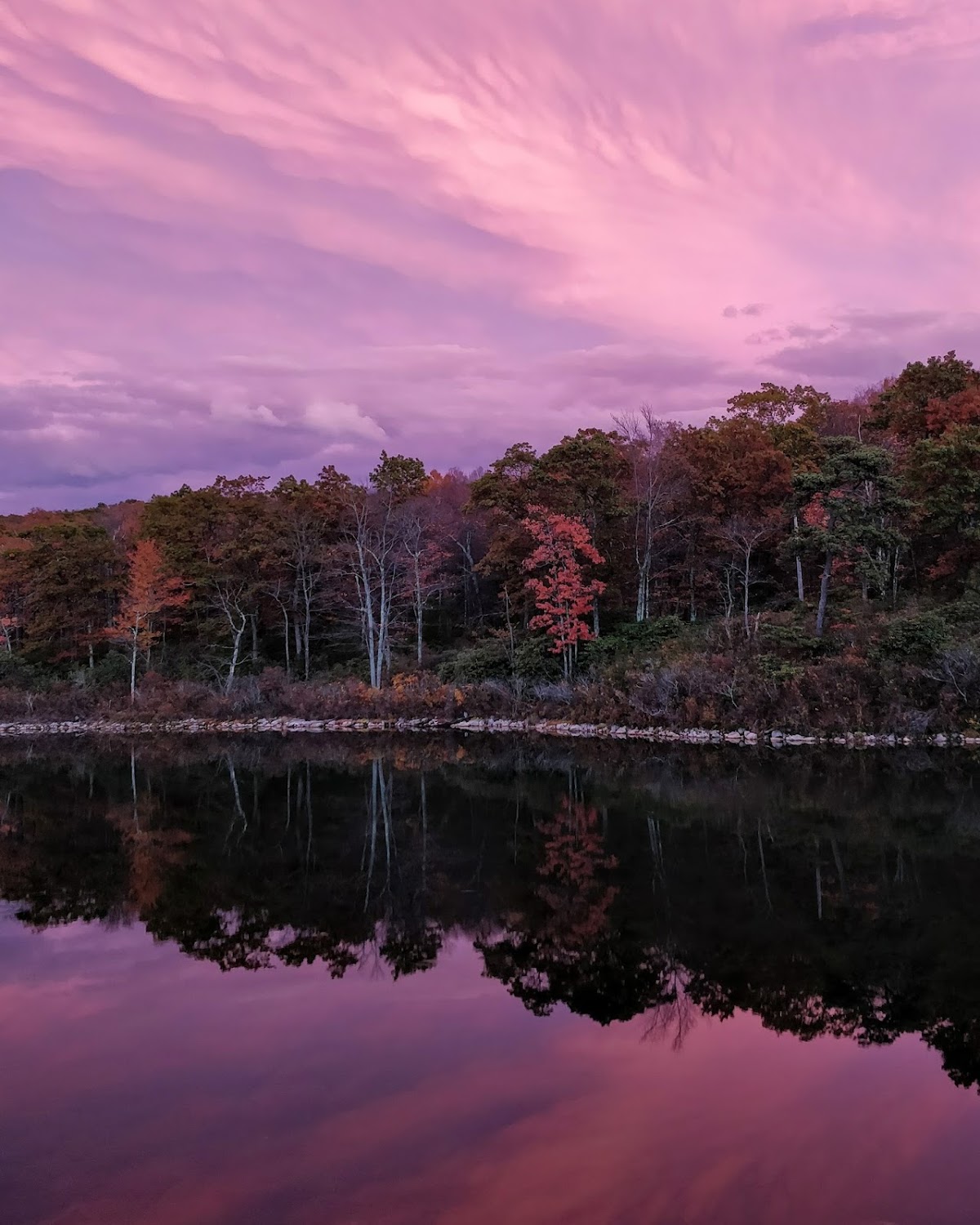 Long Pine Pond