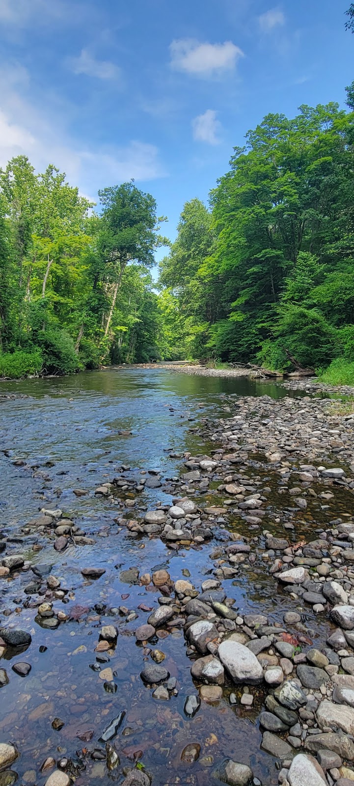 River Bend Group Campsite