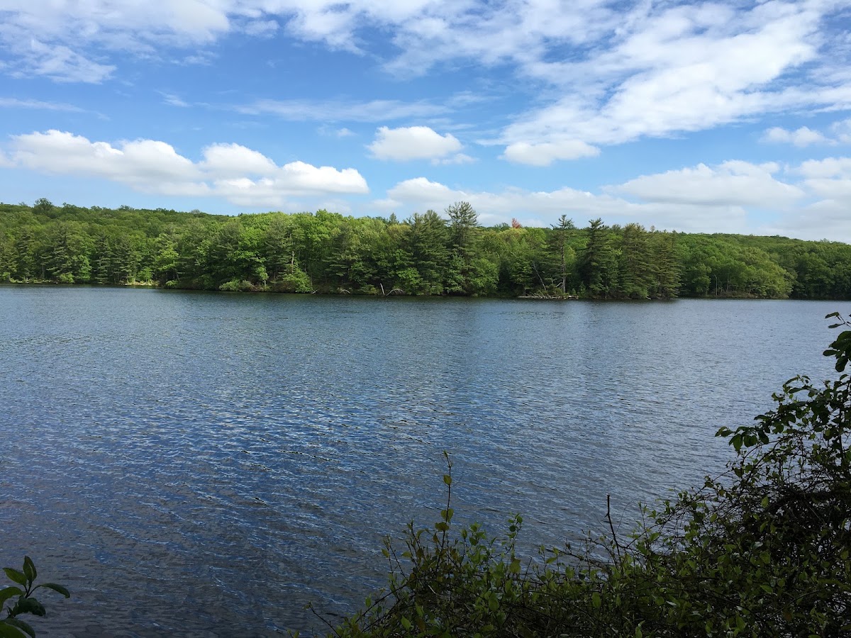 Butler Reservoir