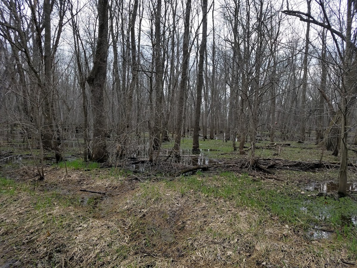 Van Loon Wildlife Area