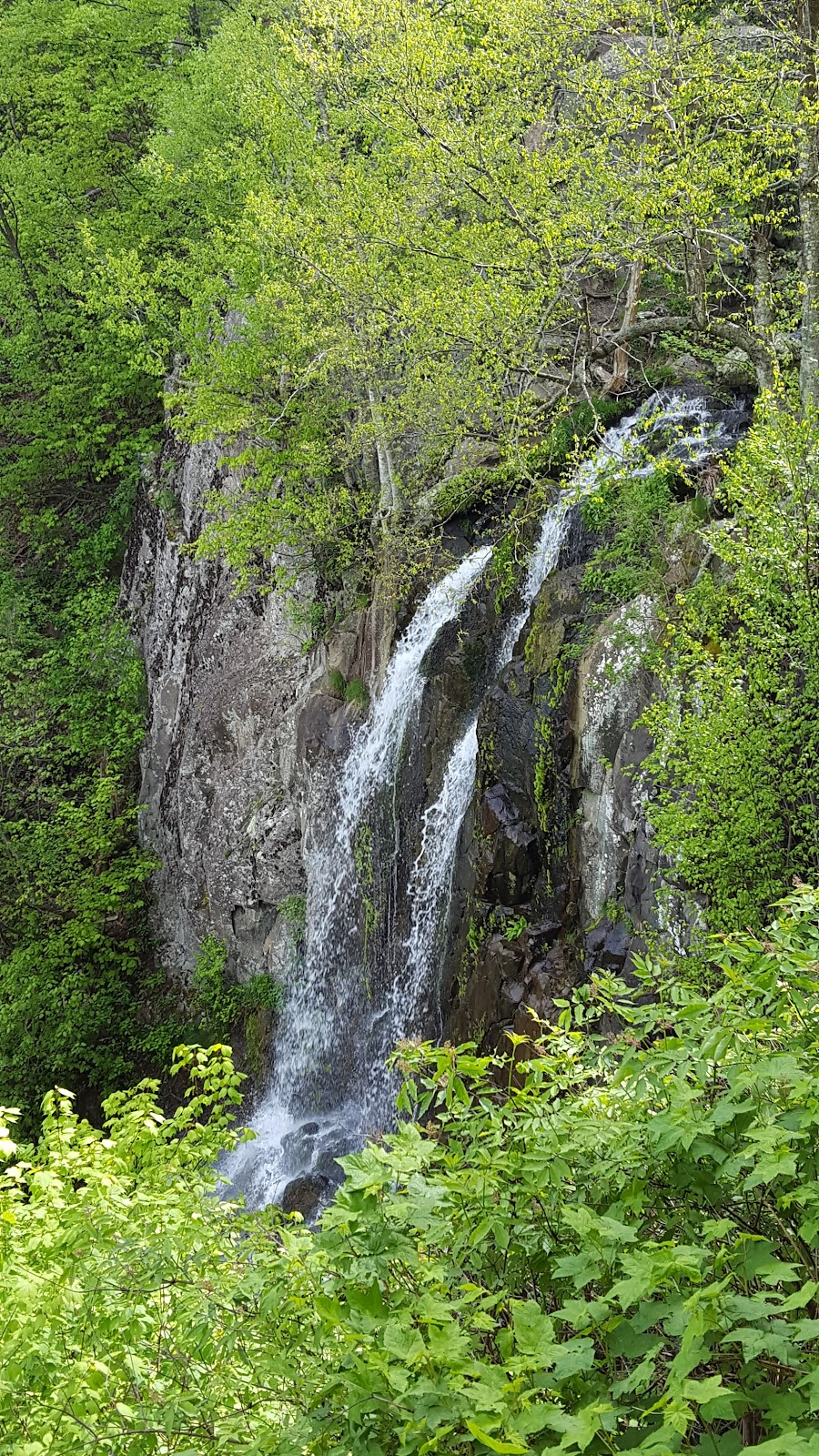 Lewis Spring Falls Trail
