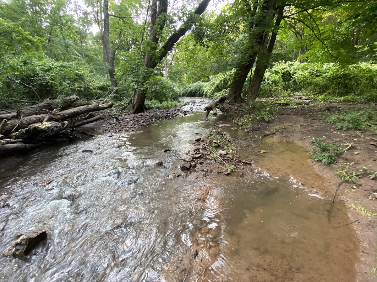 Third River