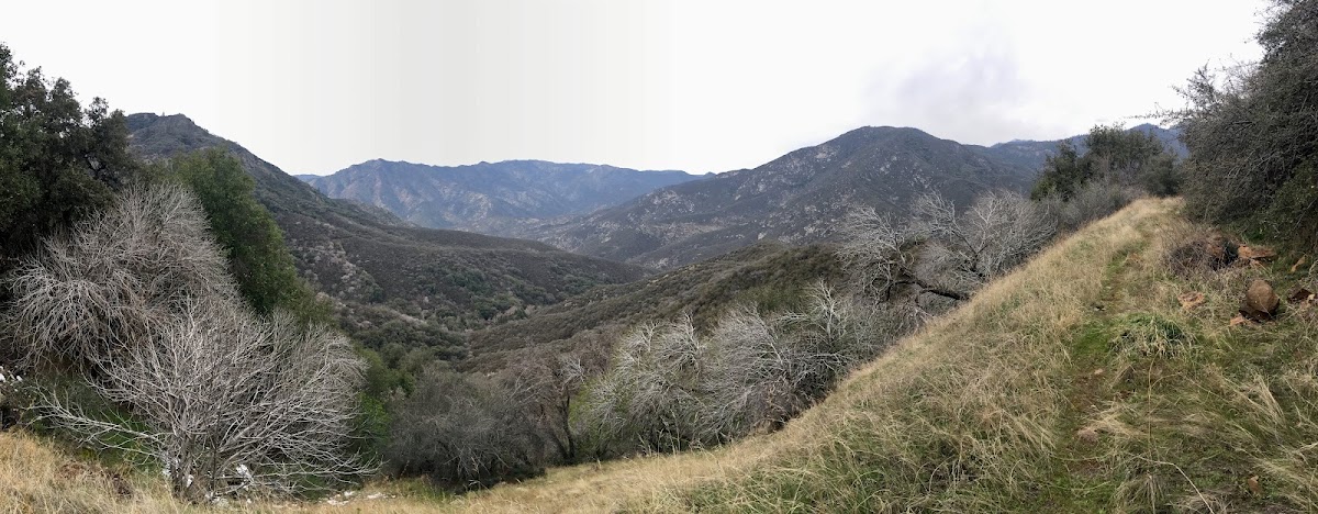 Colony Mill Trail