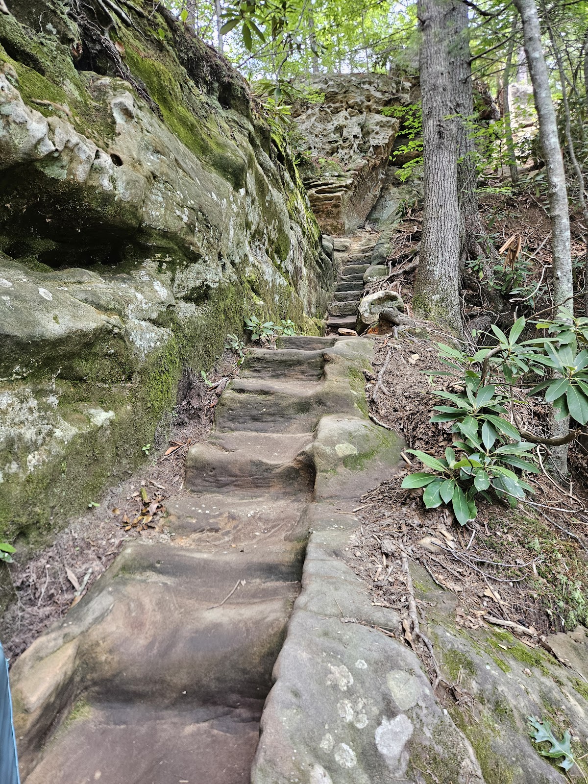 Hood's Branch Trail