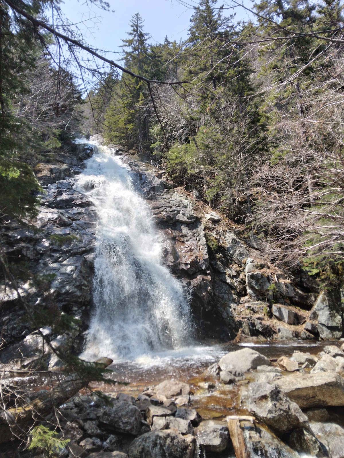 Nancy Pond Trail