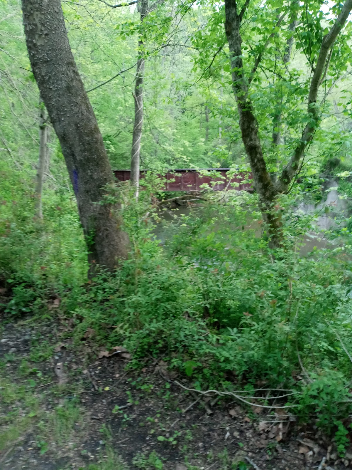 Torrey C Brown Rail Trail